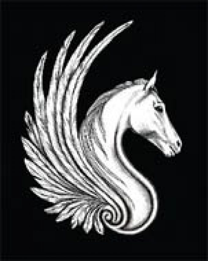 White Horse Tattoo Studio
